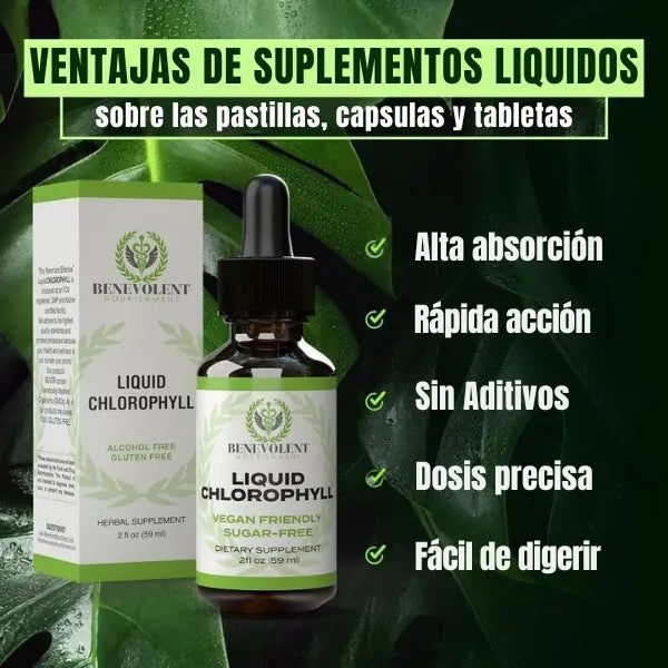 CLOROFILA BENEVOLENT X 60 ML
