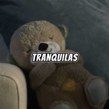 Nutria Koala Relajante Peluche Apego solo color gris