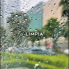 Cepillo de Limpieza para Vidrios – ¡Adiós empañamiento y grasa!  🚗